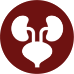 1744781994_Icon 21.png